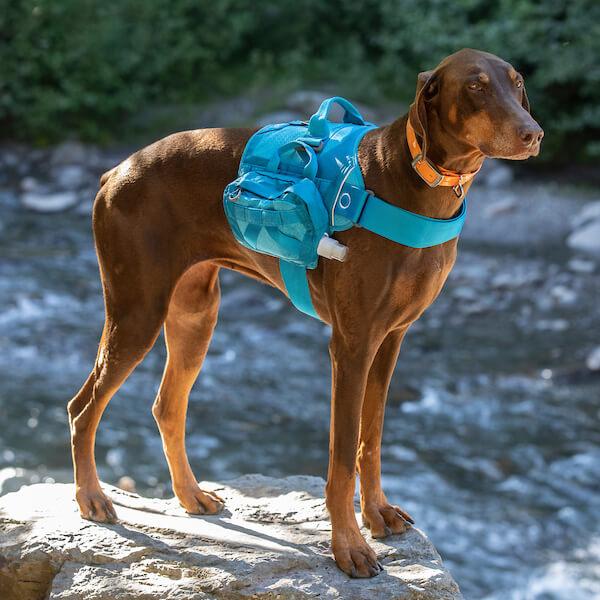 Kurgo RSG Hydration Flask Blau